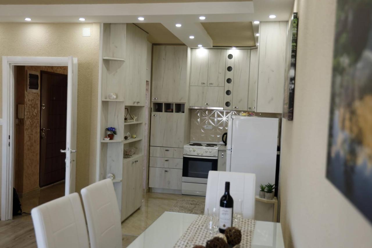 Apartment Alexandar بودغوريتْسا المظهر الخارجي الصورة
