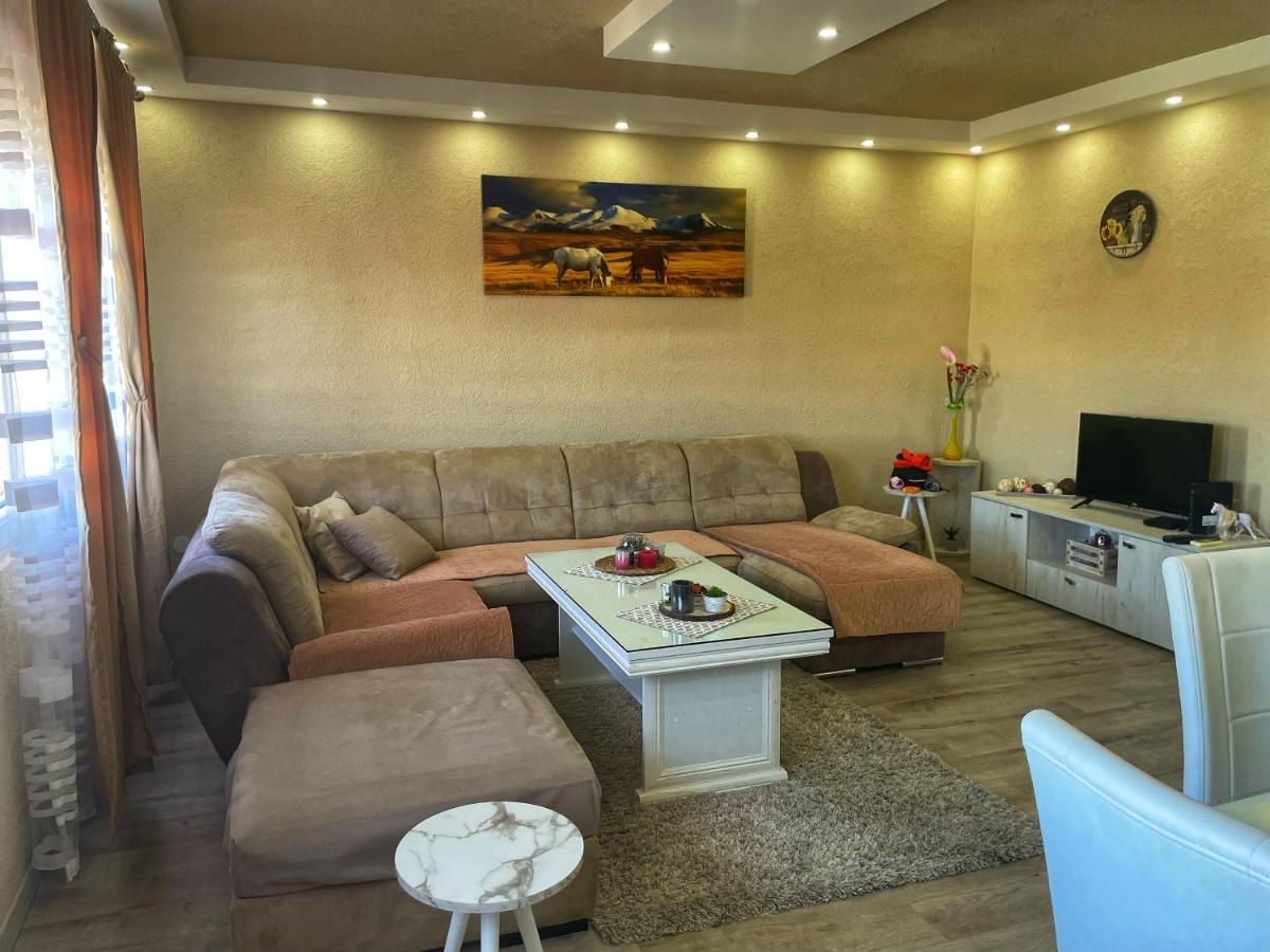 Apartment Alexandar بودغوريتْسا المظهر الخارجي الصورة